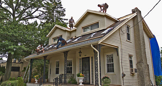 Best Roof Leak Repair  in Norwalk, OH